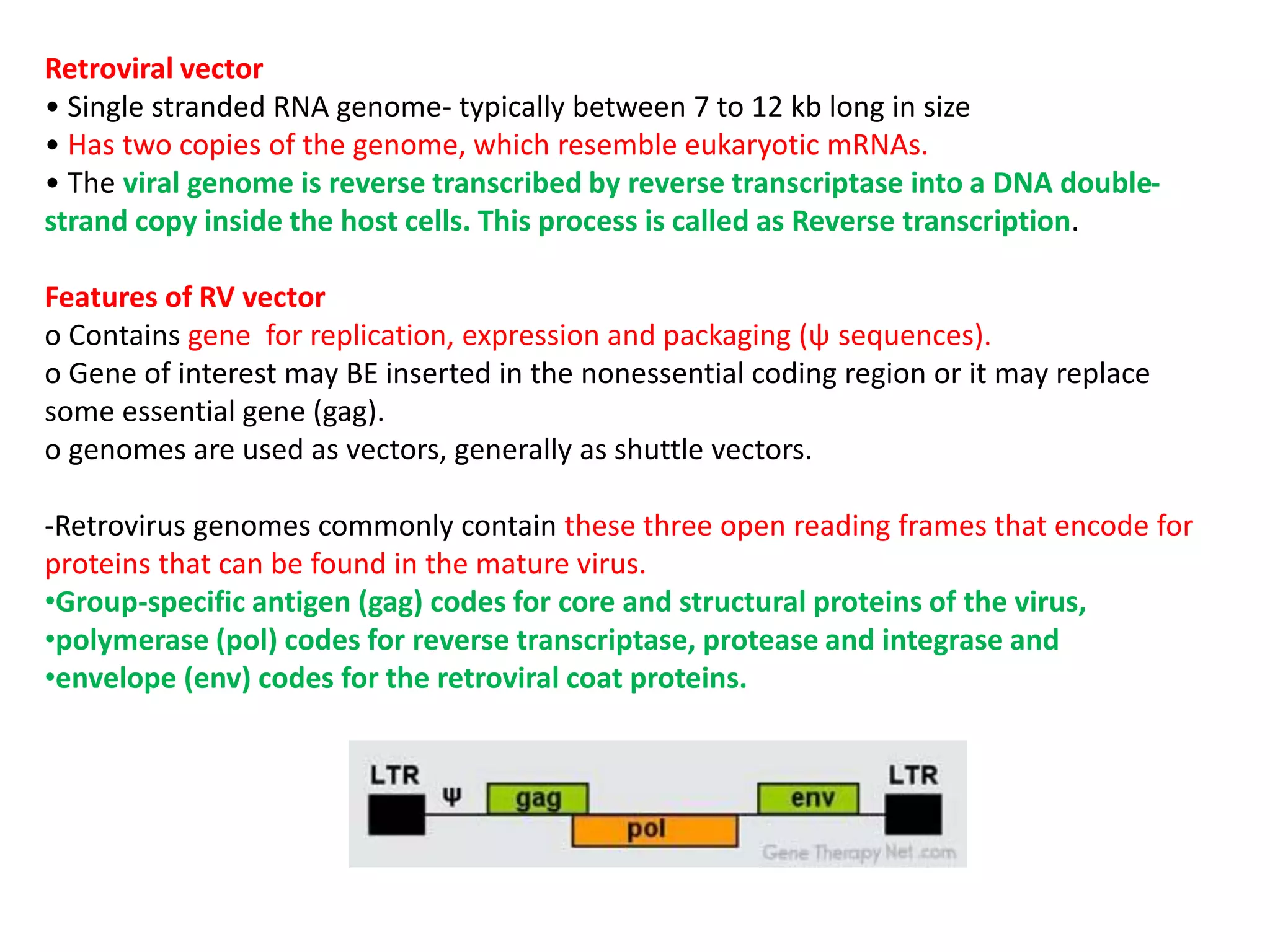 Retroviral vector
• Single stranded RNA genome- typically between 7 to 12 kb long in size
• Has two copies of the genome, which resemble eukaryotic mRNAs.
• The viral genome is reverse transcribed by reverse transcriptase into a DNA double-
strand copy inside the host cells. This process is called as Reverse transcription.
Features of RV vector
o Contains gene for replication, expression and packaging (ψ sequences).
o Gene of interest may BE inserted in the nonessential coding region or it may replace
some essential gene (gag).
o genomes are used as vectors, generally as shuttle vectors.
-Retrovirus genomes commonly contain these three open reading frames that encode for
proteins that can be found in the mature virus.
•Group-specific antigen (gag) codes for core and structural proteins of the virus,
•polymerase (pol) codes for reverse transcriptase, protease and integrase and
•envelope (env) codes for the retroviral coat proteins.
 