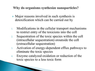 Why do organisms synthesize nanoparticles?
 Major reasons involved in such synthesis is
detoxification which can be carried out by
1. Modifications in the cellular transport mechanisms
to restrict entry of the toxicions into the cell
2. Sequestration of the toxic species within the cell
(intracellular sequestration) oroutside the cell
(extracellular sequestration)
3. Activation of energy-dependent efflux pathways to
eliminate the toxic species
4. Enzyme catalyzed oxidation or reduction of the
toxic species to a less toxic form
 