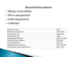 Bacterial biosynthesis
 Mainly extracellular
 Silver nanoparticle
 Gold nanoparticle
 Cadmium
 