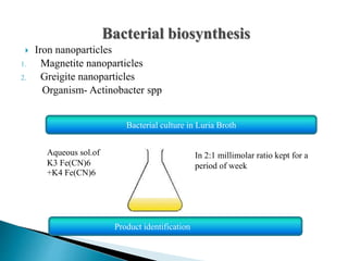 Bacterial biosynthesis
 Iron nanoparticles
1. Magnetite nanoparticles
2. Greigite nanoparticles
Organism- Actinobacter spp
Bacterial culture in Luria Broth
Aqueous sol.of
K3 Fe(CN)6
+K4 Fe(CN)6
In 2:1 millimolar ratio kept for a
period of week
Product identification
 