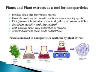  Provides single step biosynthesis process
 Protocols involving free from toxicants and natural capping agents
 Can generate bimetallic silver and gold shell nanoparticles
 Excellent stability and size control
 cost-effective large-scale production of metallic,
 semiconductor and metal oxide nanoparticles
Process involved in nanoparticles synthesis by plant extract
 