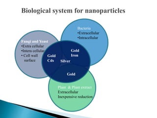 Fungi and Yeast
•Extra cellular
•Intera cellular
• Cell wall
surface
Bacteria
•Extracellular
•Intracellular
Plant & Plant extract
Extracellular
Inexpensive reduction
Silver
Gold
Gold
Cds
Gold
Iron
Biological system for nanoparticles
 