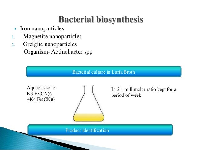 intracellular biosynthesis of cadmium sulfide nanoparticles Different behavior of staphylococcus epidermidis in intracellular biosynthesis of silver and cadmium sulfide nanoparticles: more stability and lower toxicity of. intracellular biosynthesis of cadmium sulfide nanoparticles Different behavior of staphylococcus epidermidis in intracellular biosynthesis of silver and cadmium sulfide nanoparticles: more stability and lower toxicity of.
