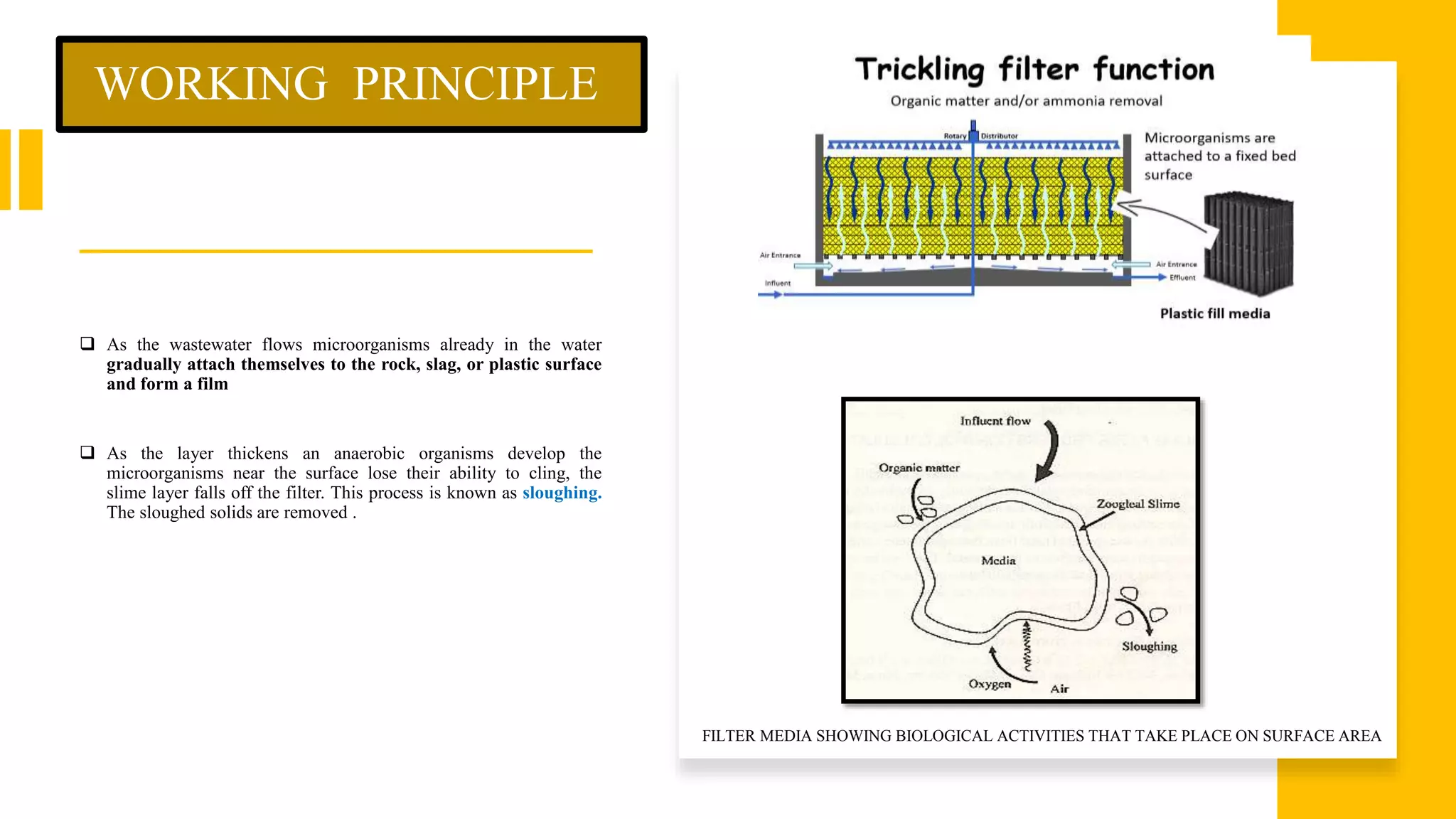 WORKING PRINCIPLE
 As the wastewater flows microorganisms already in the water
gradually attach themselves to the rock, slag, or plastic surface
and form a film
 As the layer thickens an anaerobic organisms develop the
microorganisms near the surface lose their ability to cling, the
slime layer falls off the filter. This process is known as sloughing.
The sloughed solids are removed .
FILTER MEDIA SHOWING BIOLOGICAL ACTIVITIES THAT TAKE PLACE ON SURFACE AREA
 