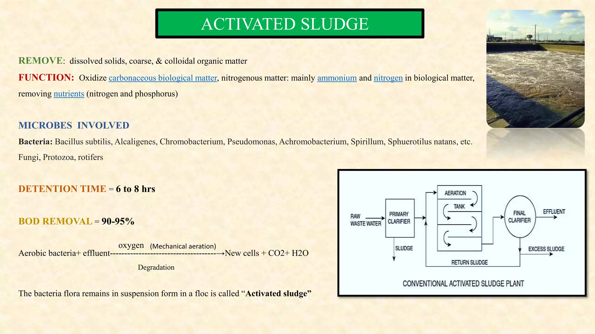 ACTIVATED SLUDGE
REMOVE: dissolved solids, coarse, & colloidal organic matter
FUNCTION: Oxidize carbonaceous biological matter, nitrogenous matter: mainly ammonium and nitrogen in biological matter,
removing nutrients (nitrogen and phosphorus)
MICROBES INVOLVED
Bacteria: Bacillus subtilis, Alcaligenes, Chromobacterium, Pseudomonas, Achromobacterium, Spirillum, Sphuerotilus natans, etc.
Fungi, Protozoa, rotifers
DETENTION TIME = 6 to 8 hrs
BOD REMOVAL = 90-95%
Aerobic bacteria+ effluent-------------------------------------→New cells + CO2+ H2O
The bacteria flora remains in suspension form in a floc is called “Activated sludge”
oxygen
Degradation
(Mechanical aeration)
 