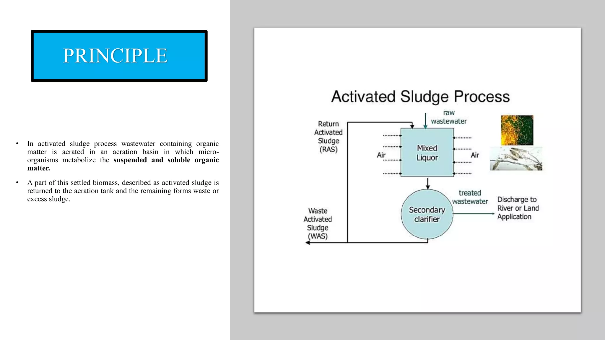 PRINCIPLE
• In activated sludge process wastewater containing organic
matter is aerated in an aeration basin in which micro-
organisms metabolize the suspended and soluble organic
matter.
• A part of this settled biomass, described as activated sludge is
returned to the aeration tank and the remaining forms waste or
excess sludge.
 