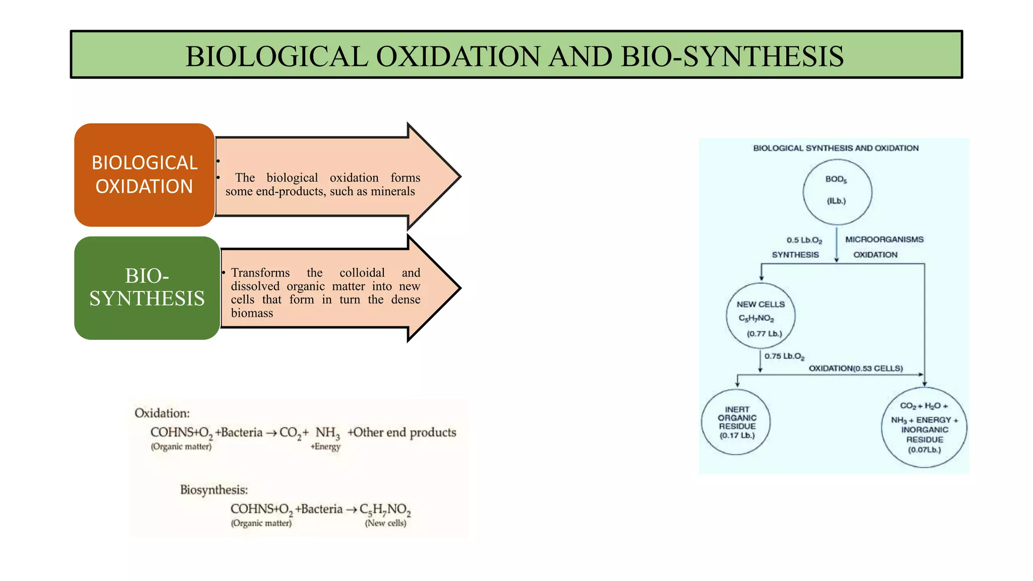 BIOLOGICAL OXIDATION AND BIO-SYNTHESIS
•
• The biological oxidation forms
some end-products, such as minerals
BIOLOGICAL
OXIDATION
• Transforms the colloidal and
dissolved organic matter into new
cells that form in turn the dense
biomass
BIO-
SYNTHESIS
 