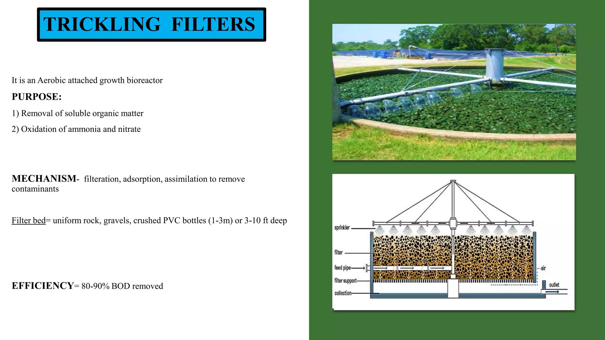 TRICKLING FILTERS
It is an Aerobic attached growth bioreactor
PURPOSE:
1) Removal of soluble organic matter
2) Oxidation of ammonia and nitrate
MECHANISM- filteration, adsorption, assimilation to remove
contaminants
Filter bed= uniform rock, gravels, crushed PVC bottles (1-3m) or 3-10 ft deep
EFFICIENCY= 80-90% BOD removed
 