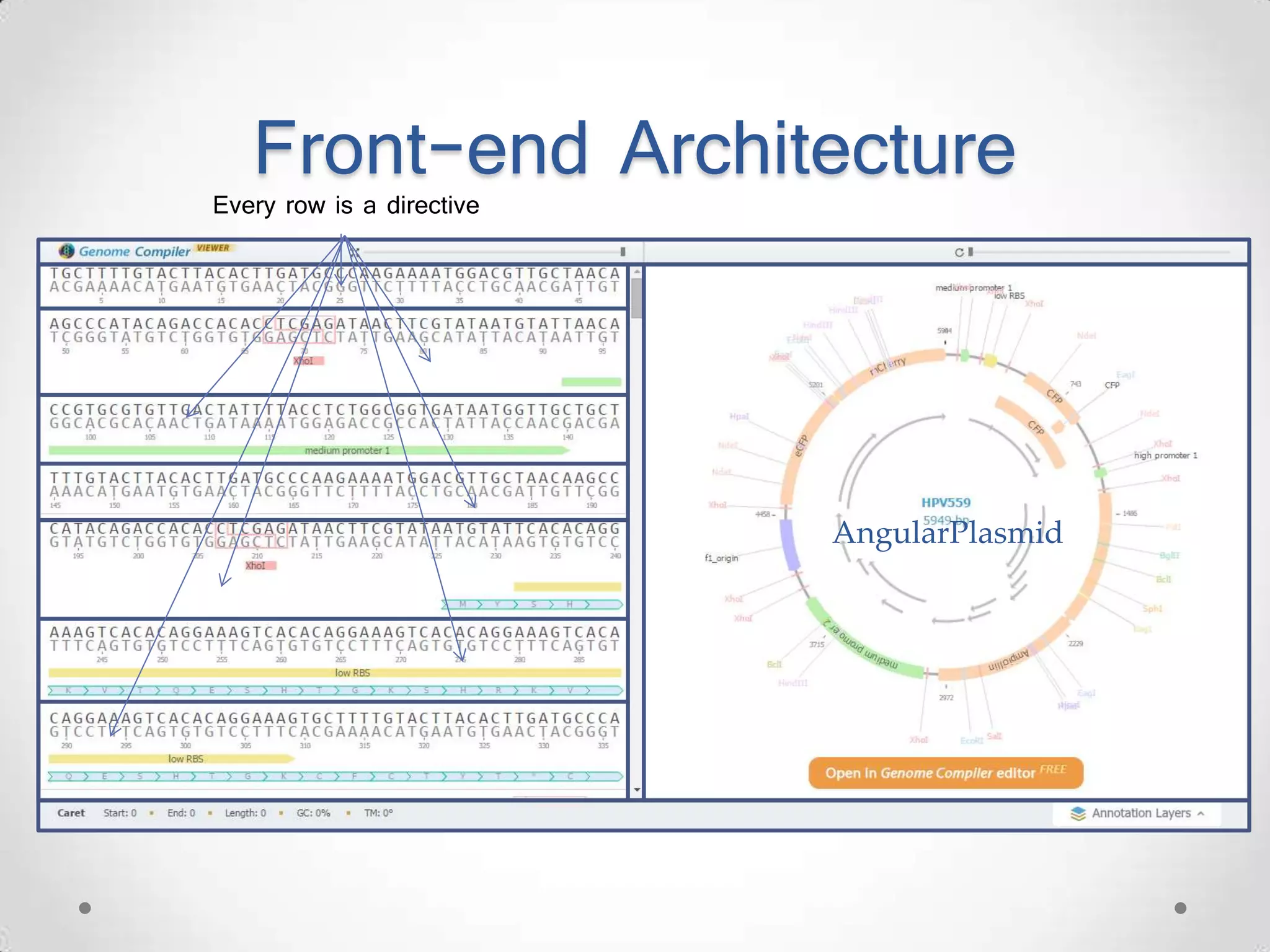 Front-end Architecture AngularPlasmid Every row is a directive 