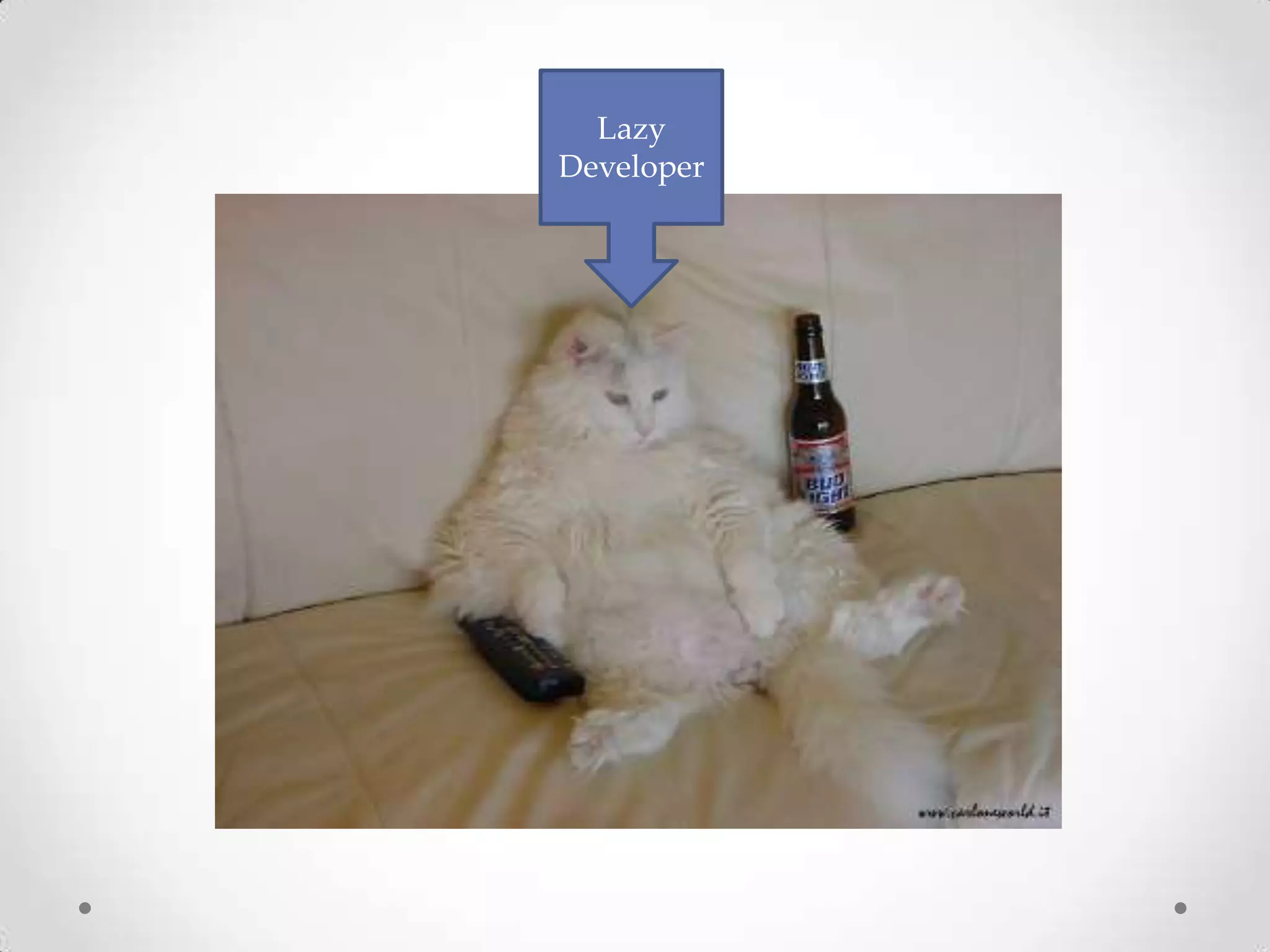 Lazy Developer 
