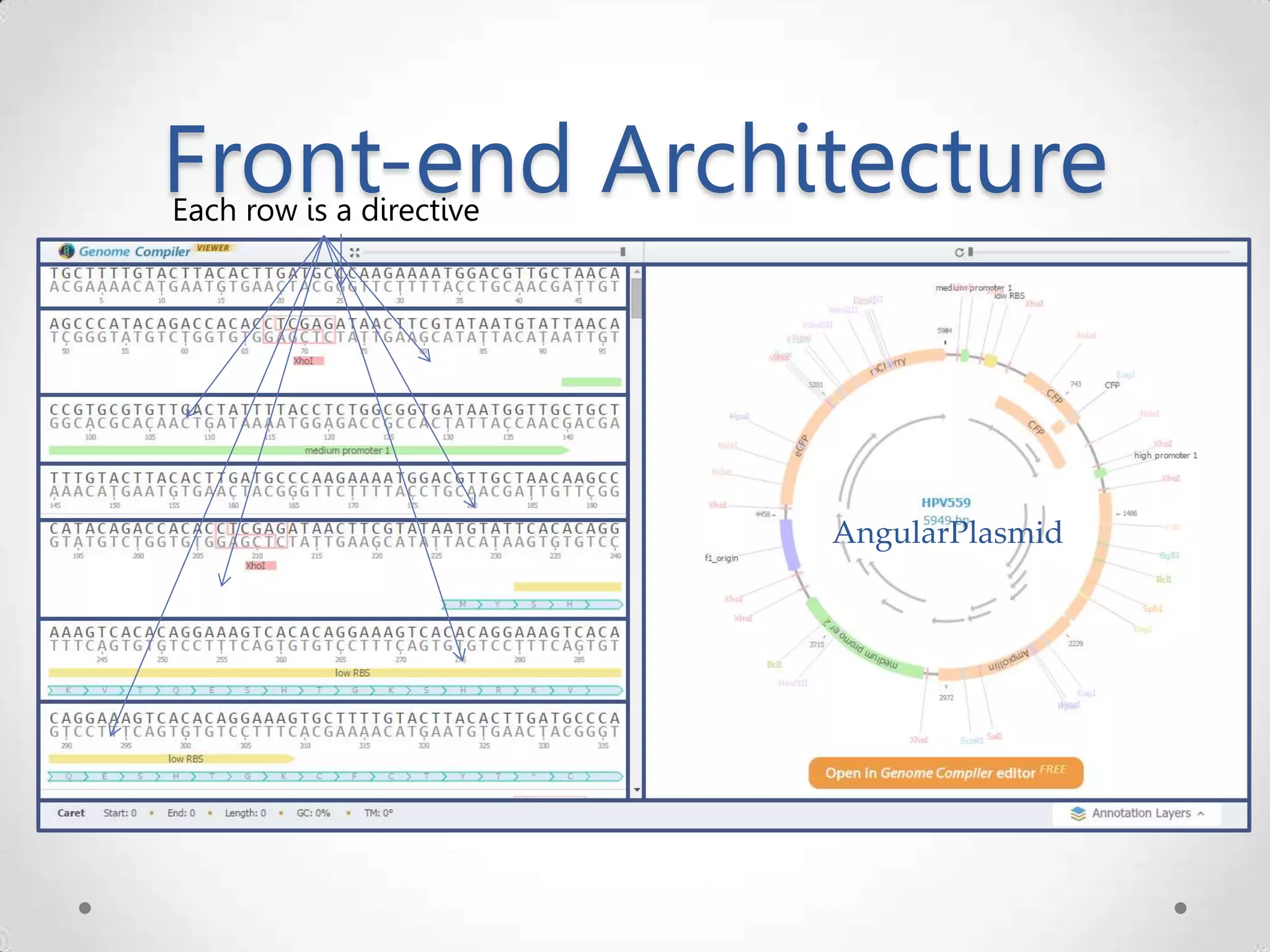 Front-end Architecture AngularPlasmid Each row is a directive 