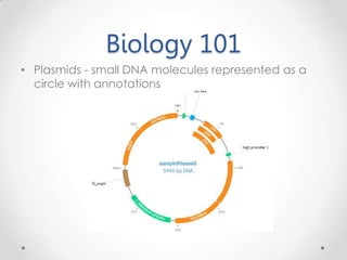 Biology 101
• Plasmids - small DNA molecules represented as a
circle with annotations
 