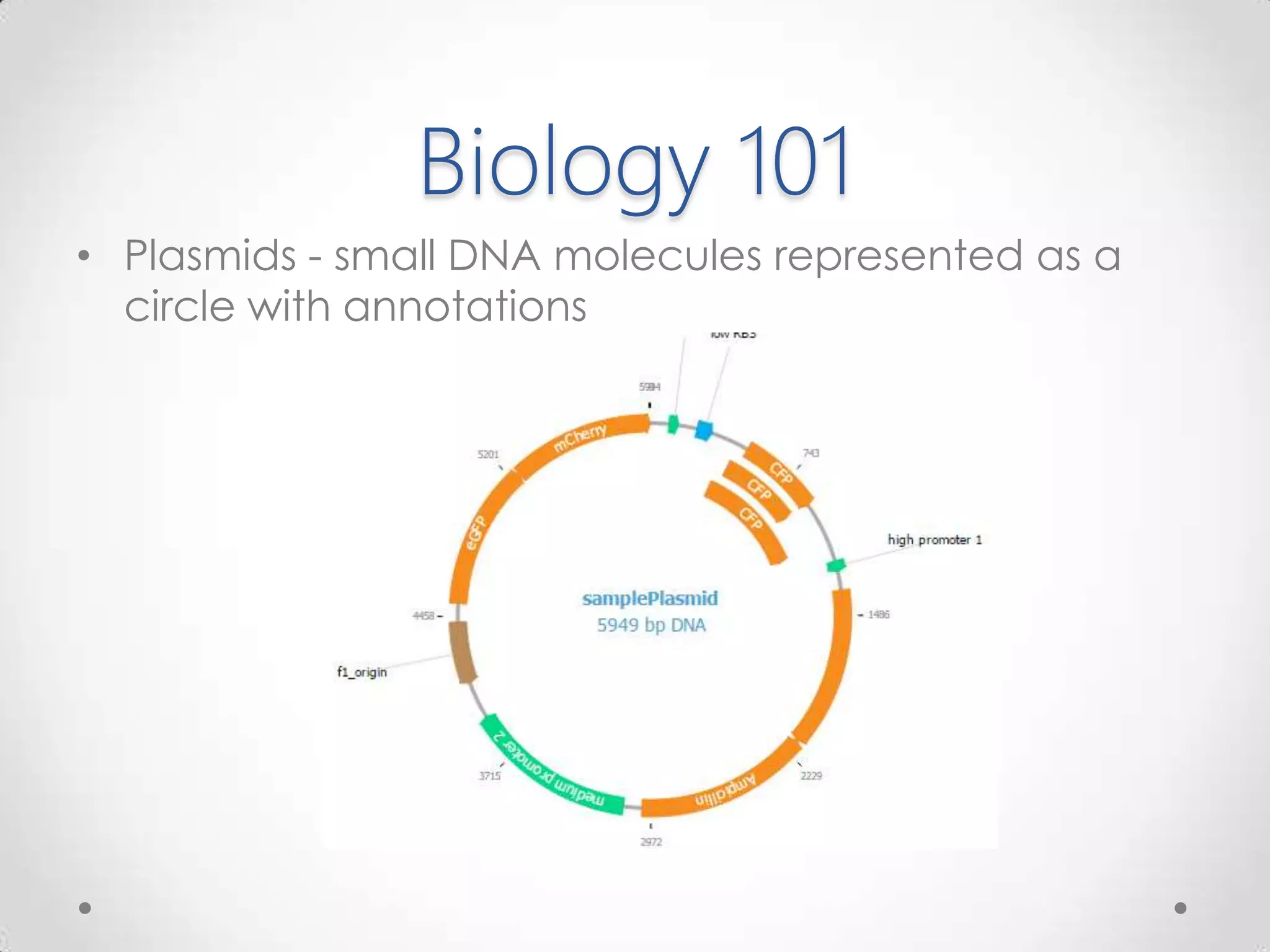 Biology 101
• Plasmids - small DNA molecules represented as a
circle with annotations
 