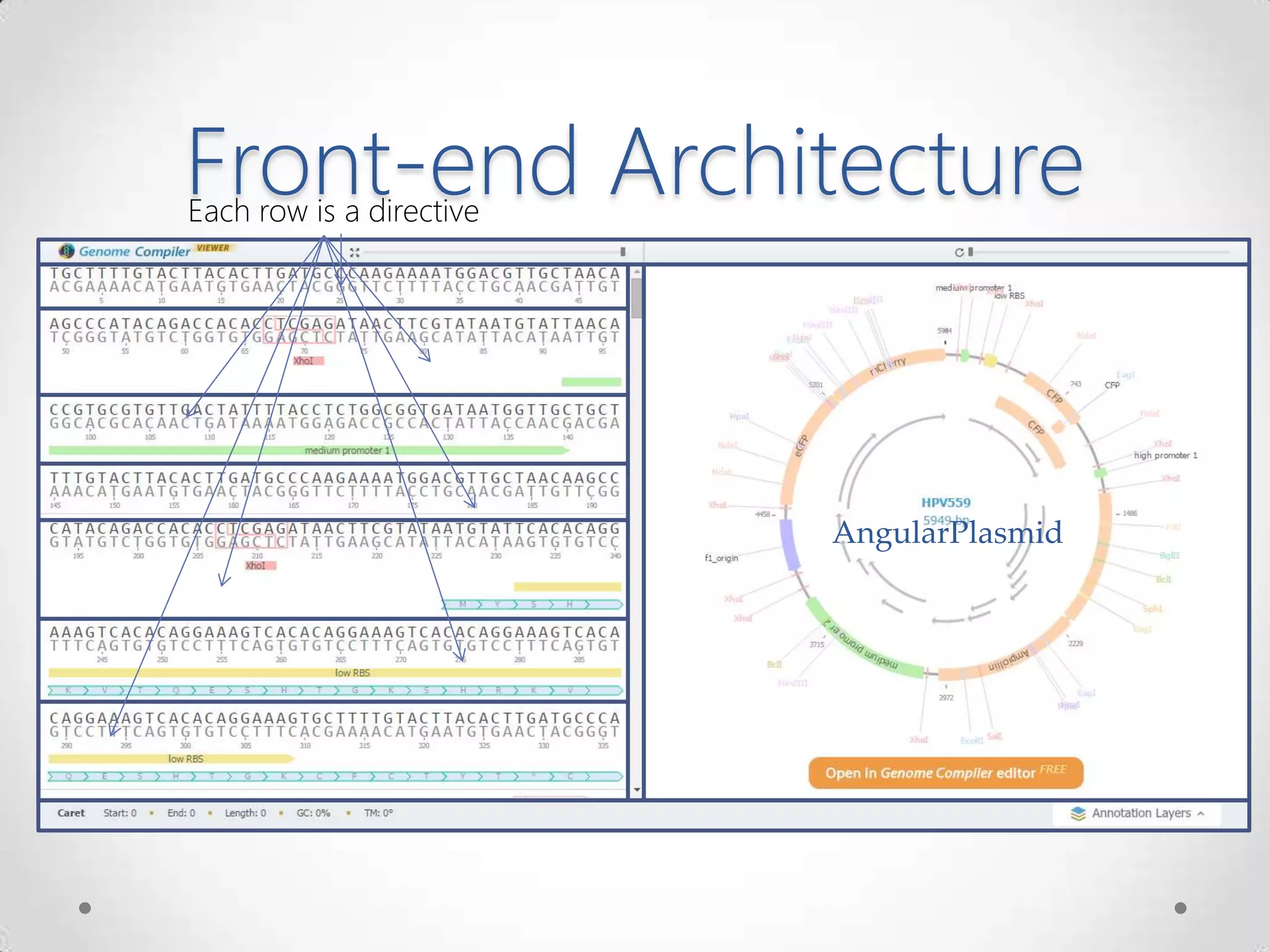 Front-end Architecture
AngularPlasmid
Each row is a directive
 