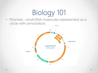 Biology 101
• Plasmids - small DNA molecules represented as a
circle with annotations
 