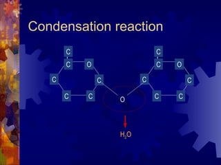 Condensation reaction O H 2 O O C C C C C C O C C C C C C 