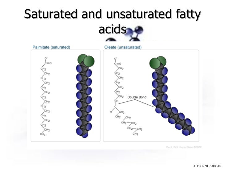 Biological Molecules