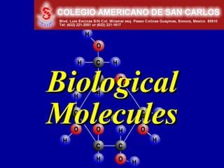Chapter 3


Biological
Molecules
 