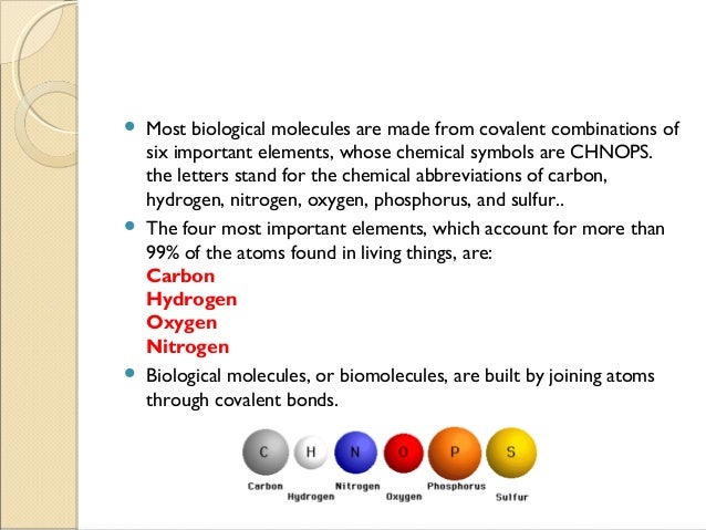 Biological Molecules Biological Molecules