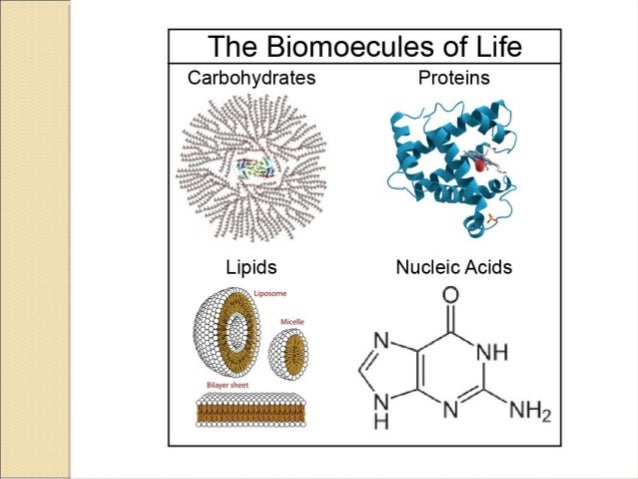 Biological molecules water structural formula diagram 