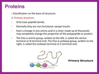 • Classification on the basis of structure:
1. Primary structure:
• Only have peptide bonds.
• Normally they are non functional, except Insulin .
• Even a change in one amino acid in a chain made up of thousands
may completely change the properties of the polypeptide or protein.
• The free α-amino group, written to the left, is called the amino-
terminal or N-terminal end. The free α-carboxyl group, written to the
right, is called the carboxyl-terminal or C-terminal end.
Primary Structure
Proteins
 