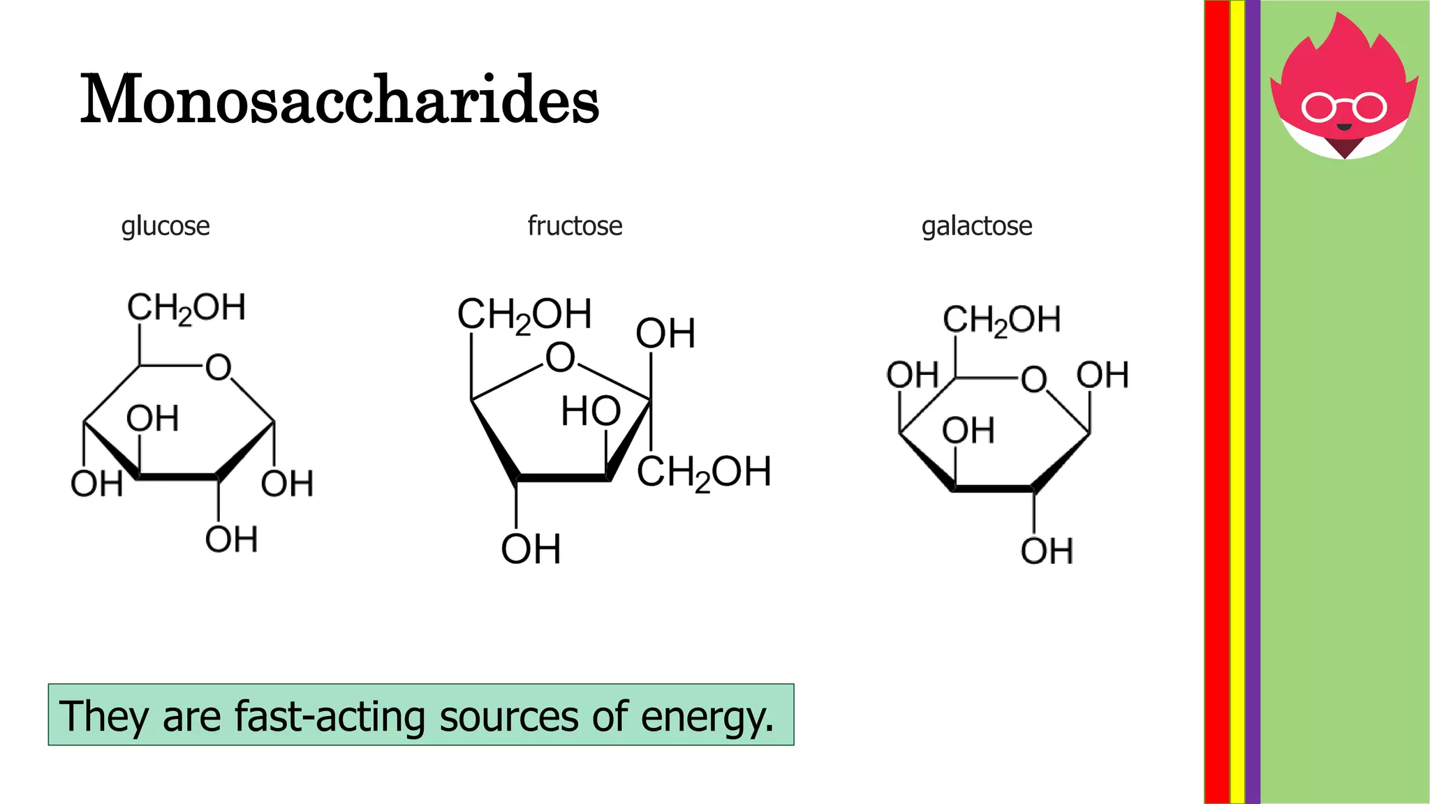 Monosaccharides
glucose fructose galactose
They are fast-acting sources of energy.
 
