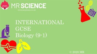 www.mrscience.co.uk
INTERNATIONAL
GCSE
Biology (9-1)
© 2020 MR
 