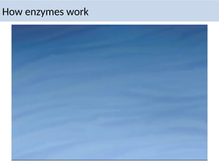 How enzymes work
 