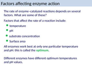 Factors affecting enzyme action
The rate of enzyme–catalyzed reactions depends on several
factors. What are some of these?
All enzymes work best at only one particular temperature
and pH: this is called the optimum.
Factors that affect the rate of a reaction include:
substrate concentration
temperature
Different enzymes have different optimum temperatures
and pH values.
pH
Surface area
 