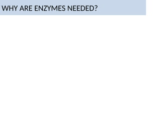 WHY ARE ENZYMES NEEDED?
 