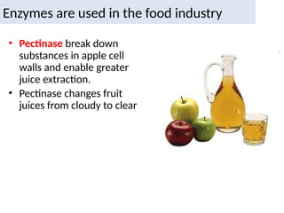 Enzymes are used in the food industry
• Pectinase break down
substances in apple cell
walls and enable greater
juice extraction.
• Pectinase changes fruit
juices from cloudy to clear
 