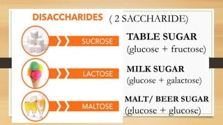 2
( 2 SACCHARIDE)
TABLE SUGAR
(glucose + fructose)
MILK SUGAR
(glucose + galactose)
MALT/ BEER SUGAR
(glucose + glucose)
 