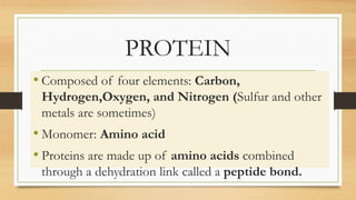 PROTEIN
• Composed of four elements: Carbon,
Hydrogen,Oxygen, and Nitrogen (Sulfur and other
metals are sometimes)
• Monomer: Amino acid
• Proteins are made up of amino acids combined
through a dehydration link called a peptide bond.
 