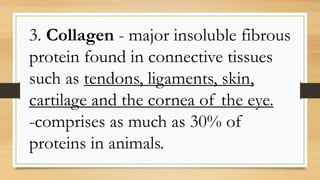 3. Collagen - major insoluble fibrous
protein found in connective tissues
such as tendons, ligaments, skin,
cartilage and the cornea of the eye.
-comprises as much as 30% of
proteins in animals.
 