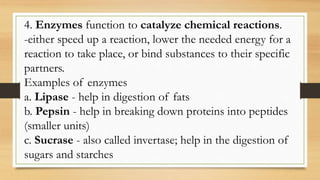 4. Enzymes function to catalyze chemical reactions.
-either speed up a reaction, lower the needed energy for a
reaction to take place, or bind substances to their specific
partners.
Examples of enzymes
a. Lipase - help in digestion of fats
b. Pepsin - help in breaking down proteins into peptides
(smaller units)
c. Sucrase - also called invertase; help in the digestion of
sugars and starches
 
