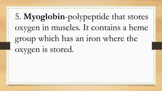 5. Myoglobin-polypeptide that stores
oxygen in muscles. It contains a heme
group which has an iron where the
oxygen is stored.
 