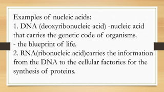 Examples of nucleic acids:
1. DNA (deoxyribonucleic acid) -nucleic acid
that carries the genetic code of organisms.
- the blueprint of life.
2. RNA(ribonucleic acid)carries the information
from the DNA to the cellular factories for the
synthesis of proteins.
 