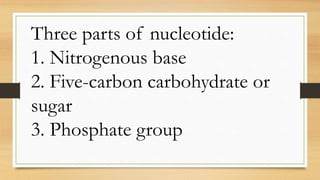 Three parts of nucleotide:
1. Nitrogenous base
2. Five-carbon carbohydrate or
sugar
3. Phosphate group
 