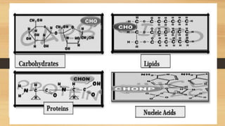PHYSICAL SCIENCE BIOLOGICAL MACROMOLECULES.pptx