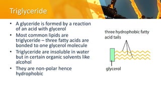 Glyceride Example Biological Molecules chapter 2 as level.pdf