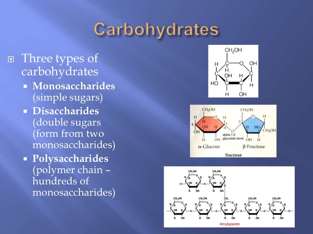 Biological molecules (Carbohydrates and Lipids) water and Proteins Re…