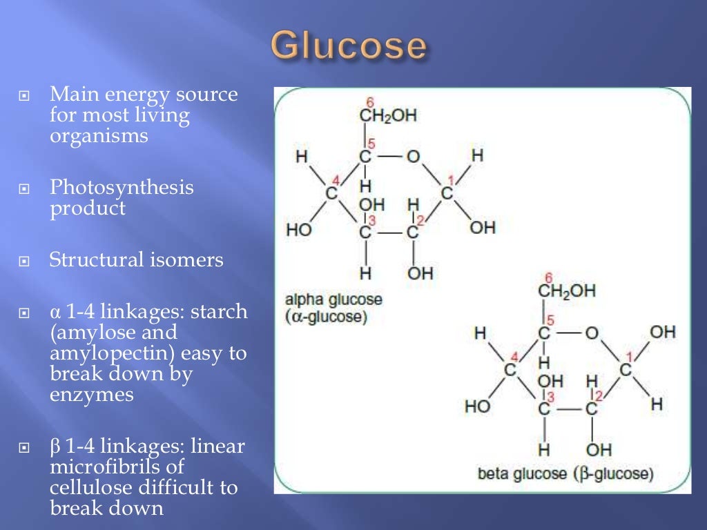 Biological molecules (Carbohydrates and Lipids) water and Proteins Re…