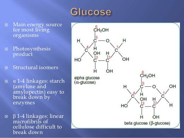 biological molecules carbohydrates and lipids water and proteins re what molecules combine to form disaccharides