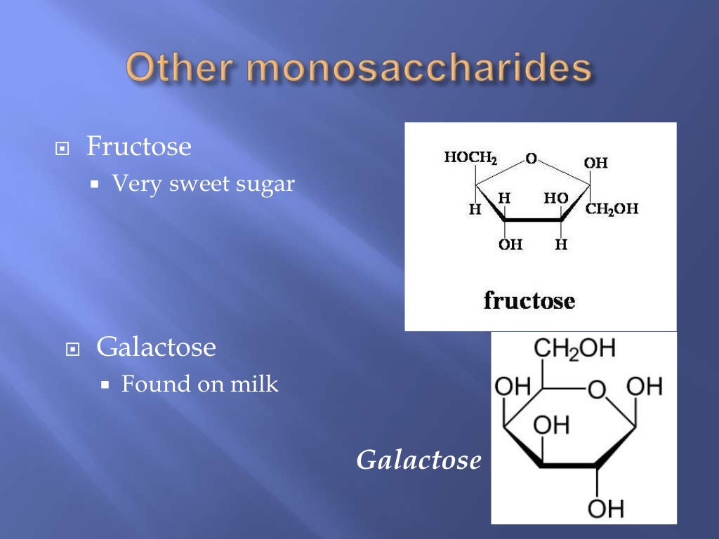 Biological molecules (Carbohydrates and Lipids) water and Proteins Re…