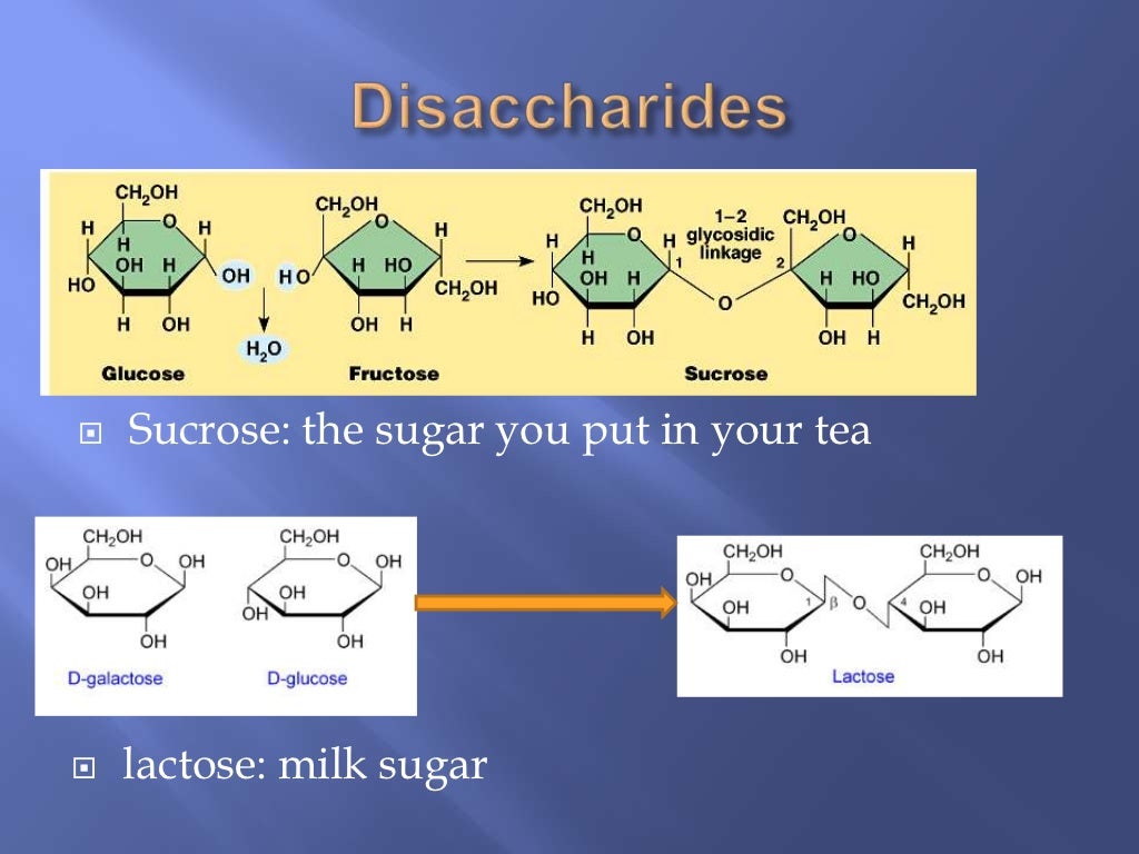 Biological molecules (Carbohydrates and Lipids) water and Proteins Re…