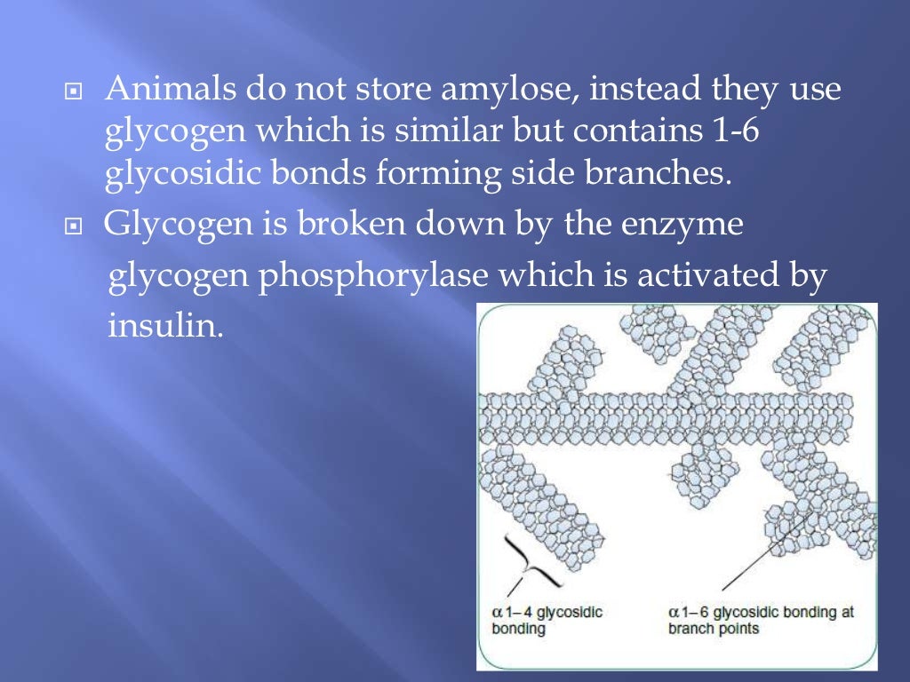 Biological molecules (Carbohydrates and Lipids) water and Proteins Re…
