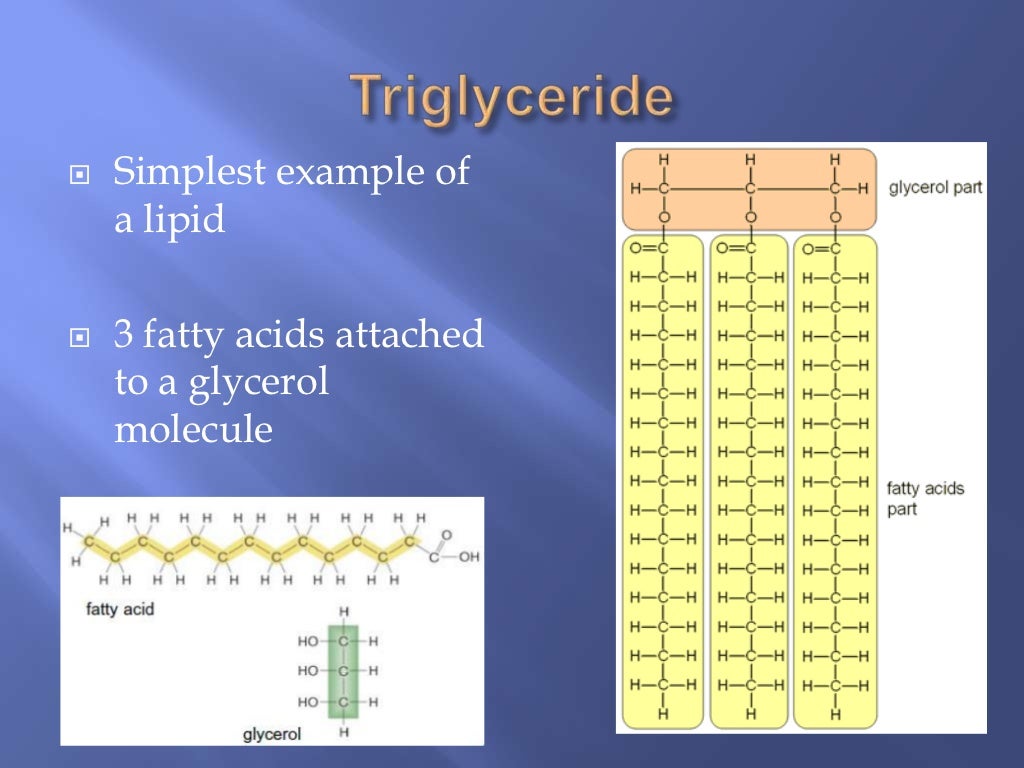 Biological molecules (Carbohydrates and Lipids) water and Proteins Re…