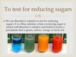 
 We use Benedict’s solution to test for reducing
sugars. It is a Blue solution, when a reducing sugar is
mixed with Benedict’s solution and boiled it forms a
precipitate that is green, yellow, orange or brick red.
To test for reducing sugars
 