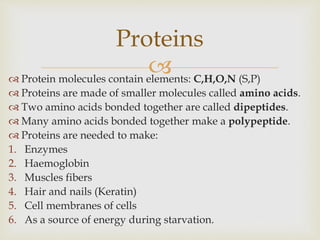  Protein molecules contain elements: C,H,O,N (S,P)
 Proteins are made of smaller molecules called amino acids.
 Two amino acids bonded together are called dipeptides.
 Many amino acids bonded together make a polypeptide.
 Proteins are needed to make:
1. Enzymes
2. Haemoglobin
3. Muscles fibers
4. Hair and nails (Keratin)
5. Cell membranes of cells
6. As a source of energy during starvation.
Proteins
 
