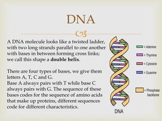 Biological molecules 2018 | PPT